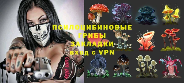 скорость Горняк