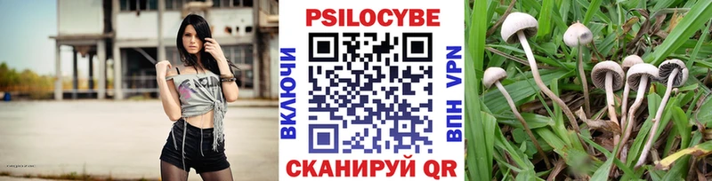 Псилоцибиновые грибы Magic Shrooms  Купить  Кыштым 